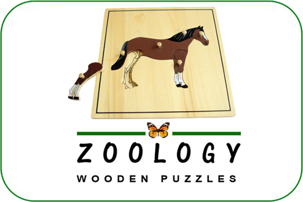 zoology Montessori materials